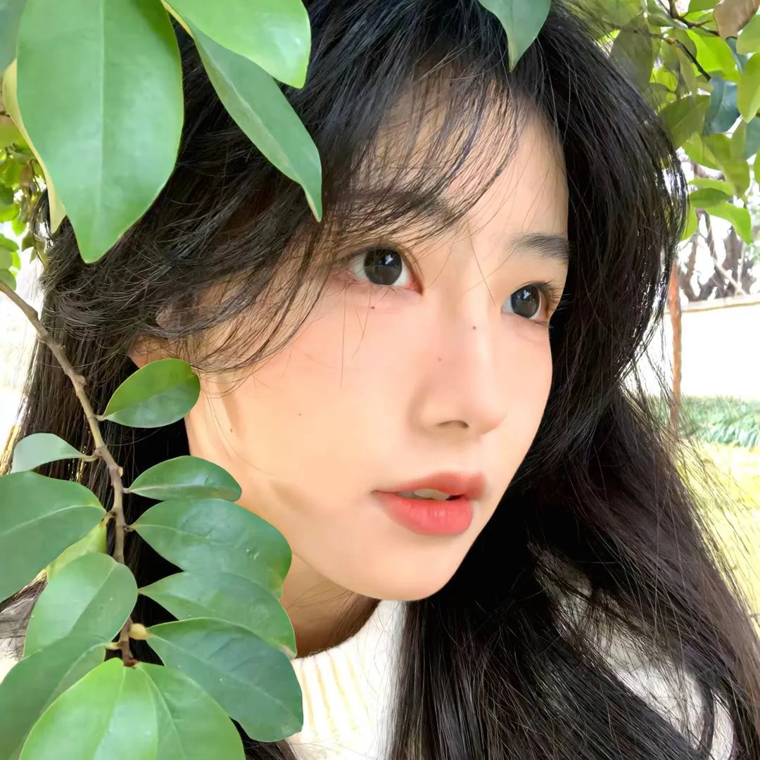 签约演员